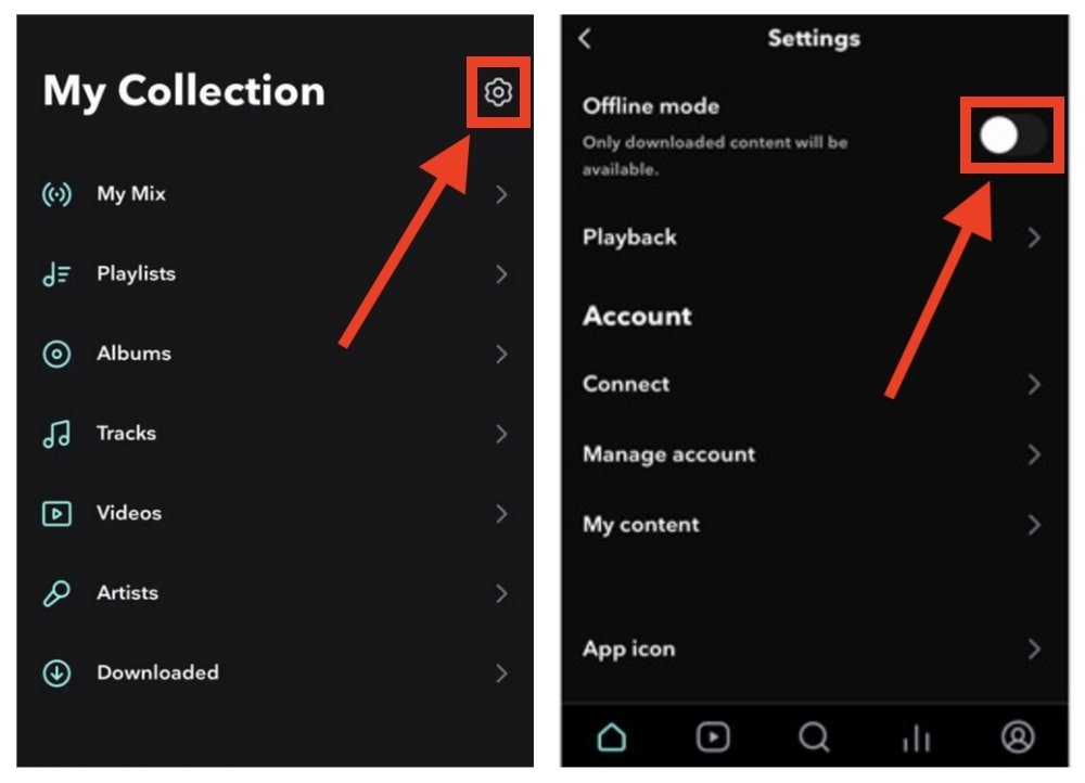 Tidal Offline Mode settings