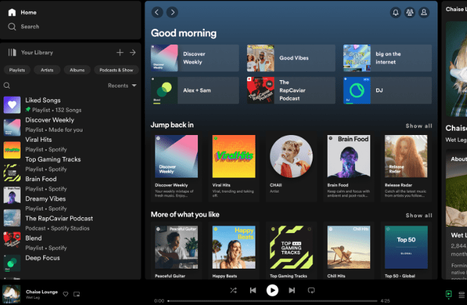 spotify homepage overview